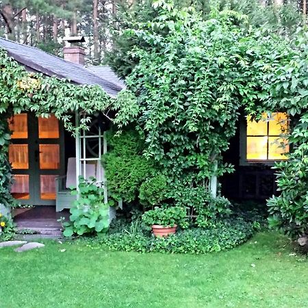 Domek Letniskowy Na Kaszubach Lub Apartament Z Kominkiem プツク エクステリア 写真