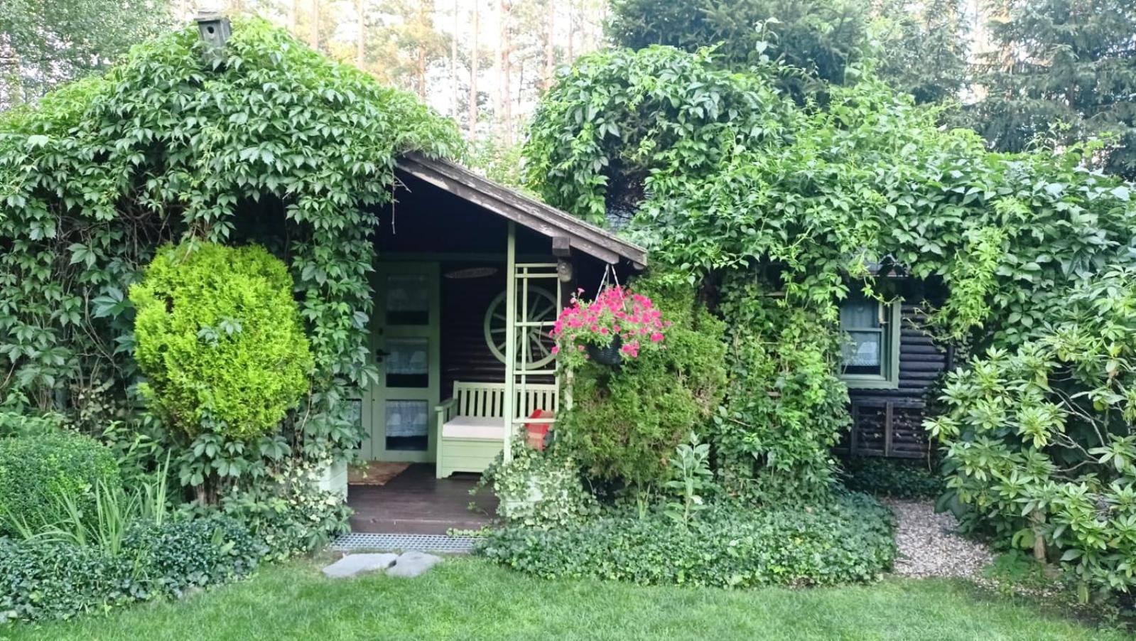 Domek Letniskowy Na Kaszubach Lub Apartament Z Kominkiem プツク エクステリア 写真