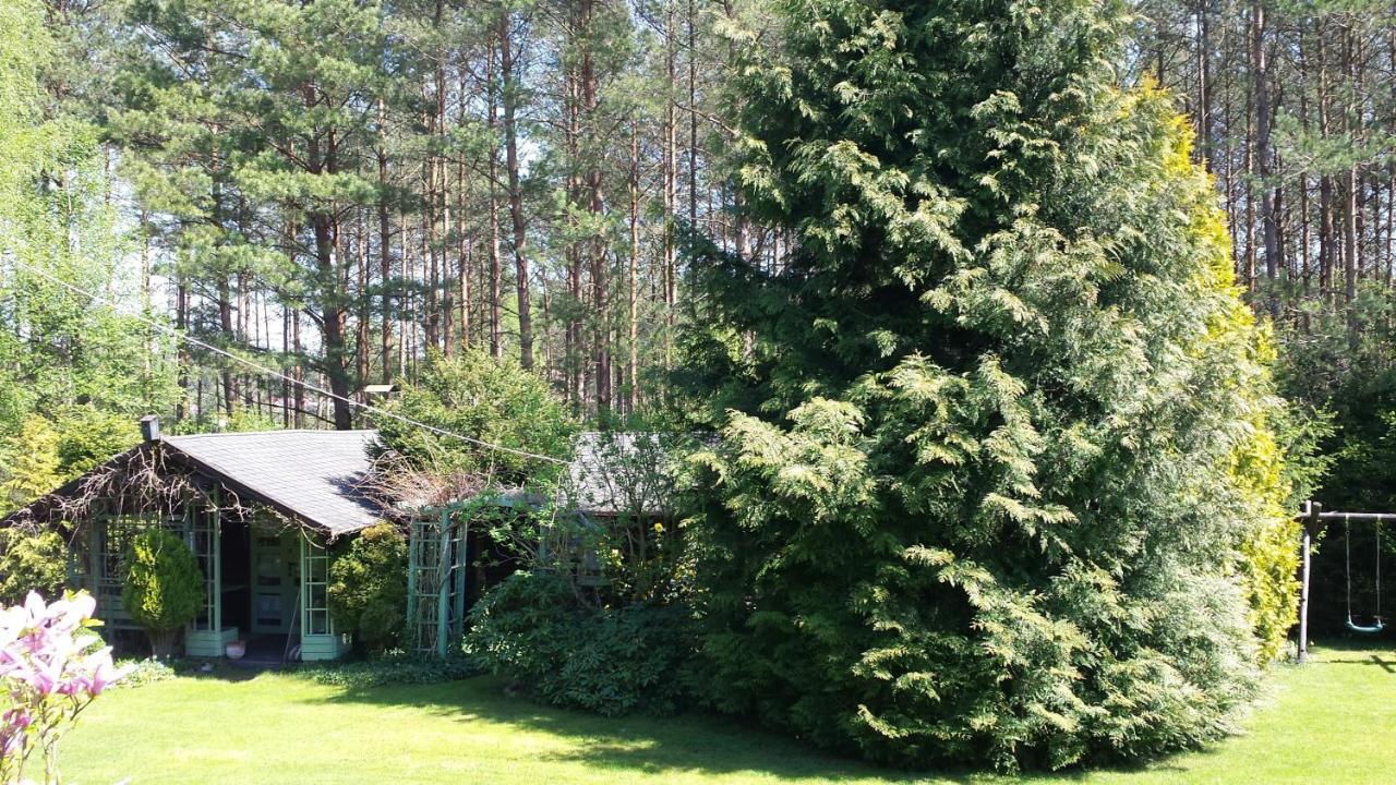 Domek Letniskowy Na Kaszubach Lub Apartament Z Kominkiem プツク エクステリア 写真