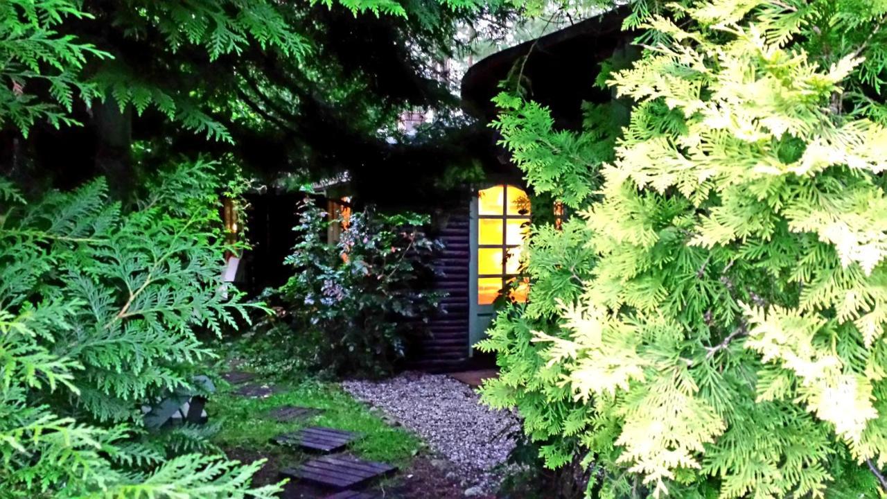 Domek Letniskowy Na Kaszubach Lub Apartament Z Kominkiem プツク エクステリア 写真