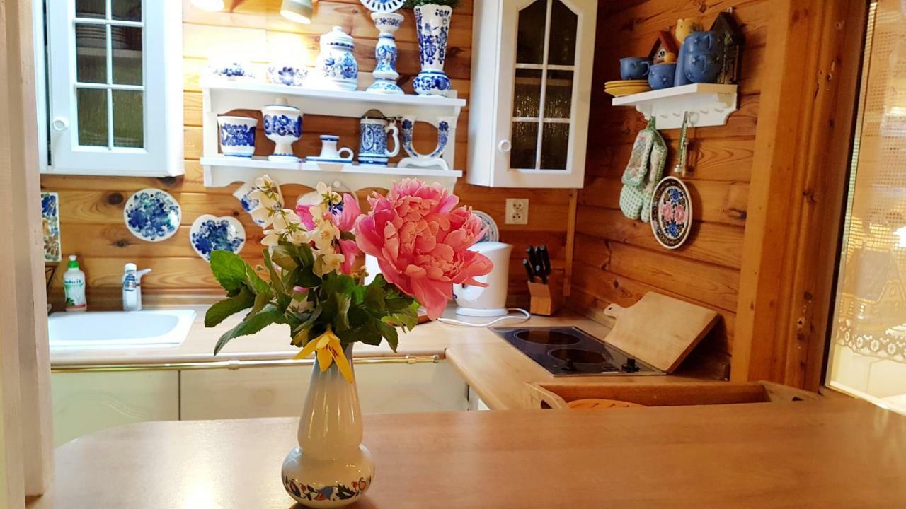 Domek Letniskowy Na Kaszubach Lub Apartament Z Kominkiem プツク エクステリア 写真