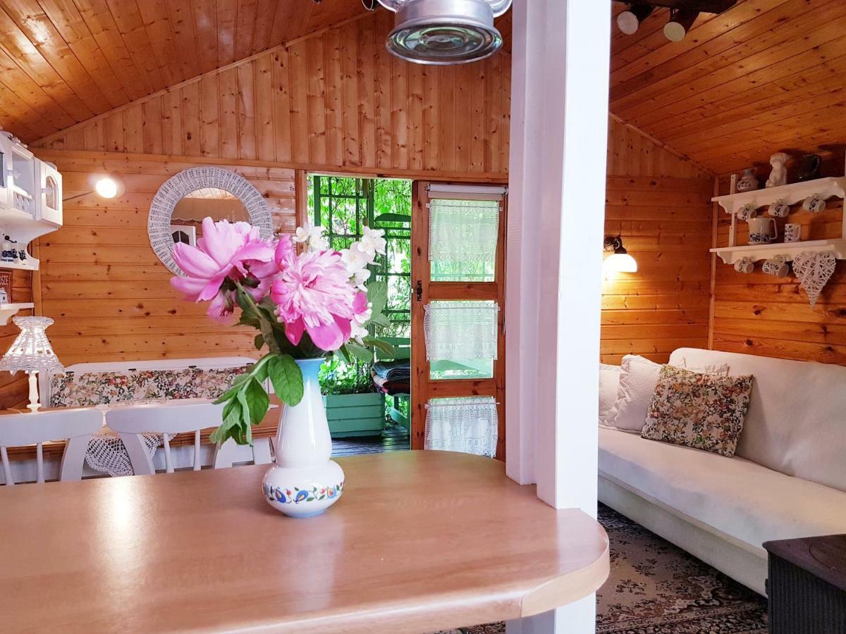 Domek Letniskowy Na Kaszubach Lub Apartament Z Kominkiem プツク エクステリア 写真