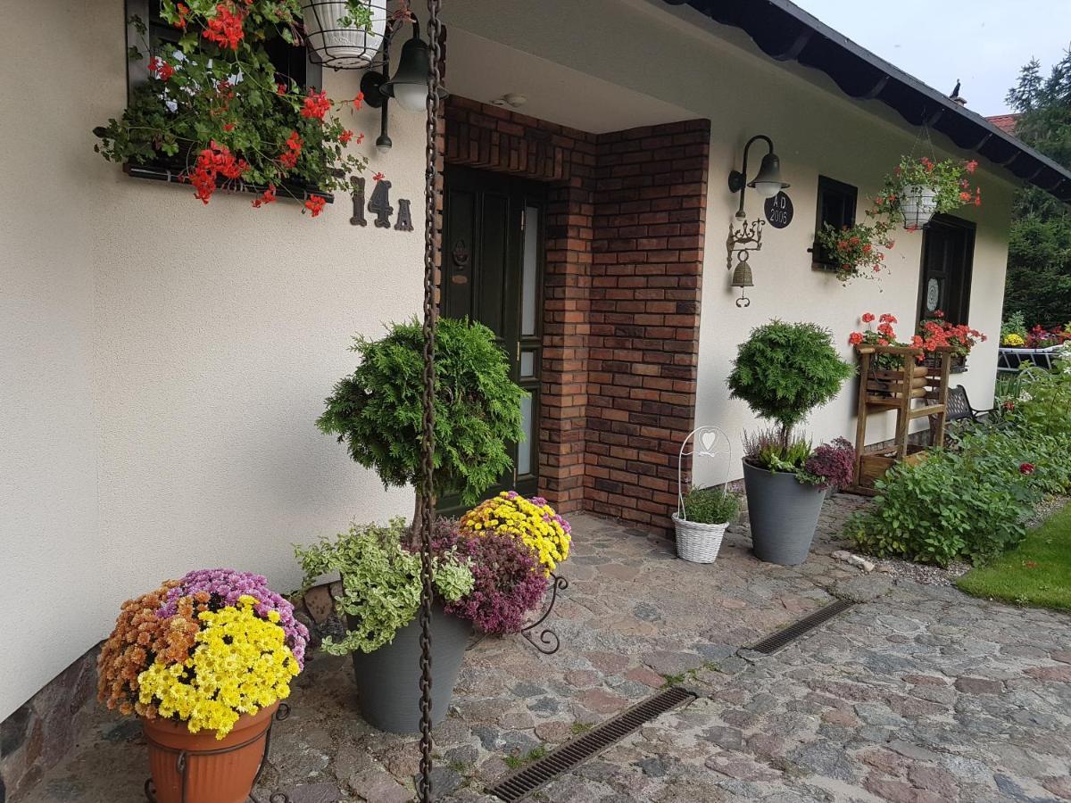 Domek Letniskowy Na Kaszubach Lub Apartament Z Kominkiem プツク エクステリア 写真